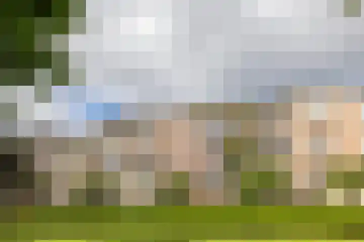 Heemraadssingel 209 B 03 Rotterdam thumbnail 35