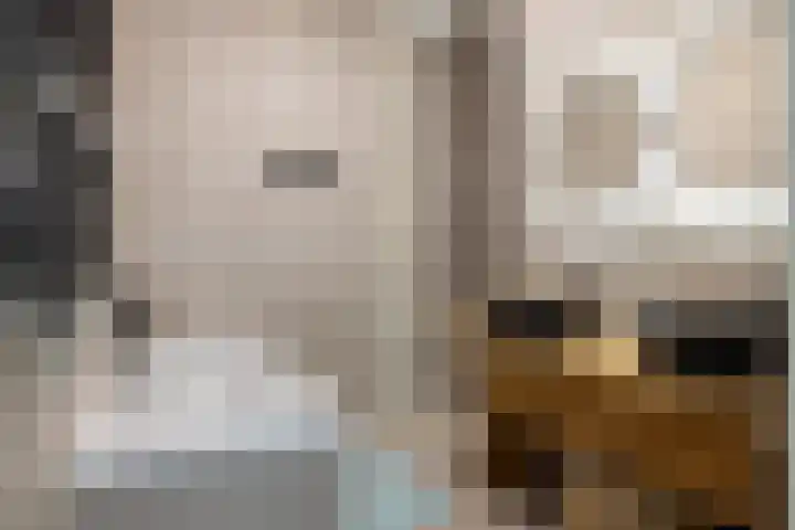 Heemraadssingel 209 B 03 Rotterdam thumbnail 4