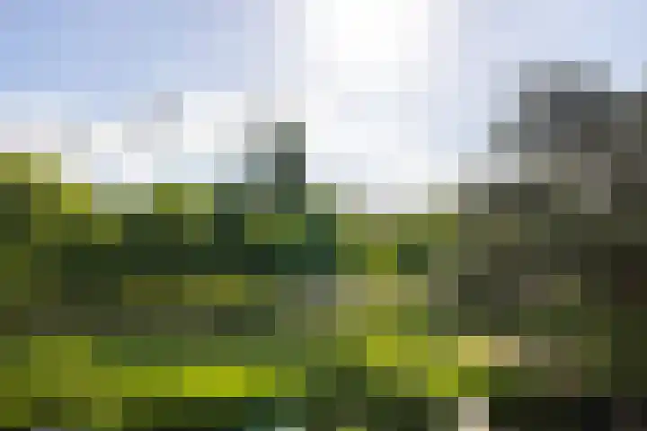 Heemraadssingel 209 B 03 Rotterdam thumbnail 5