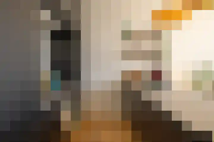 Heemraadssingel 209 B 03 Rotterdam thumbnail 9