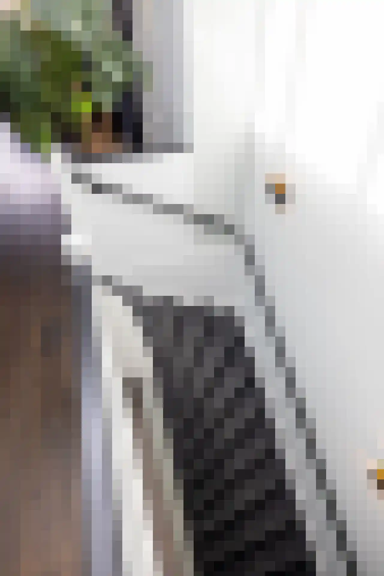 Heemraadssingel 237 A Rotterdam thumbnail 40