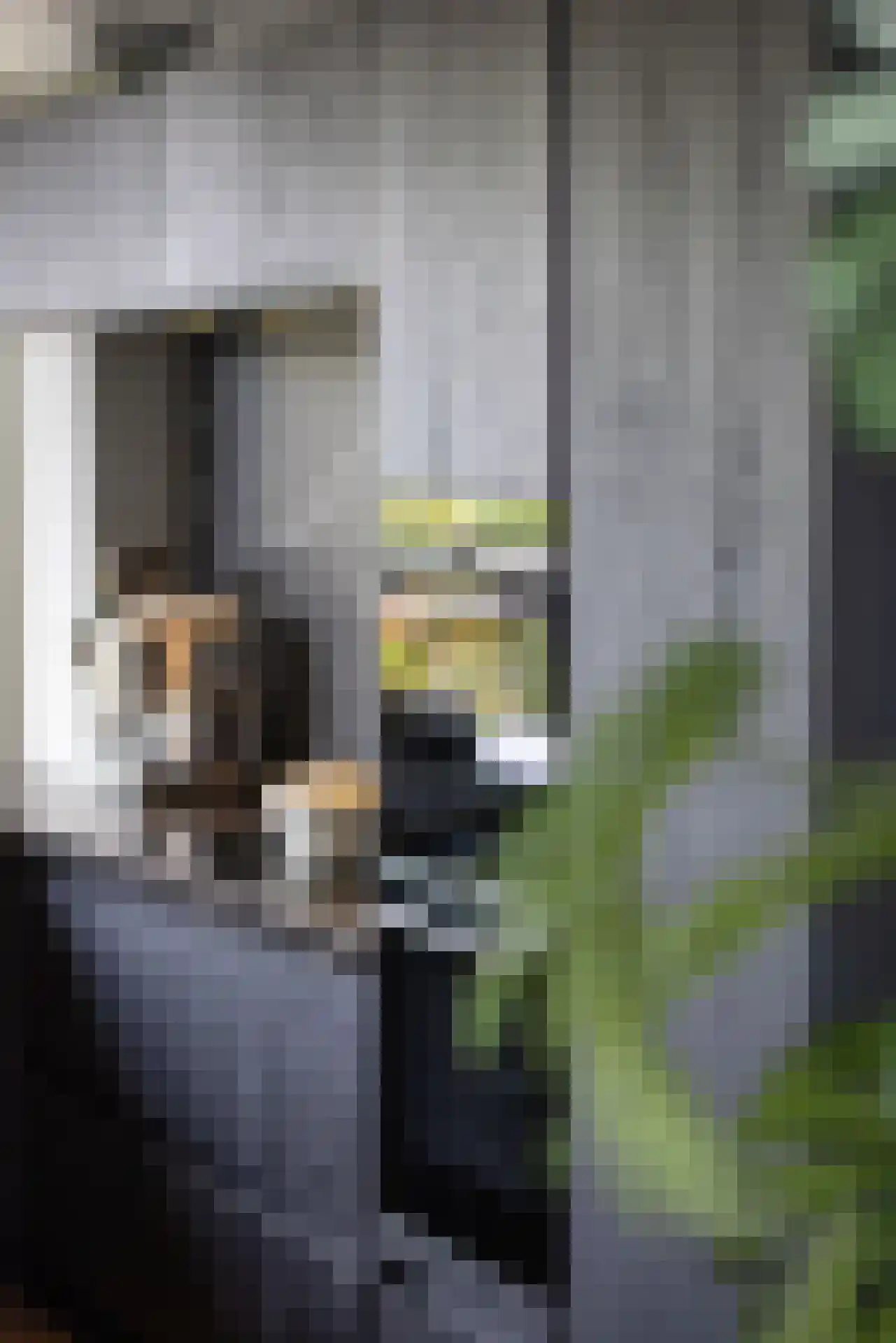 Heemraadssingel 237 A Rotterdam thumbnail 8