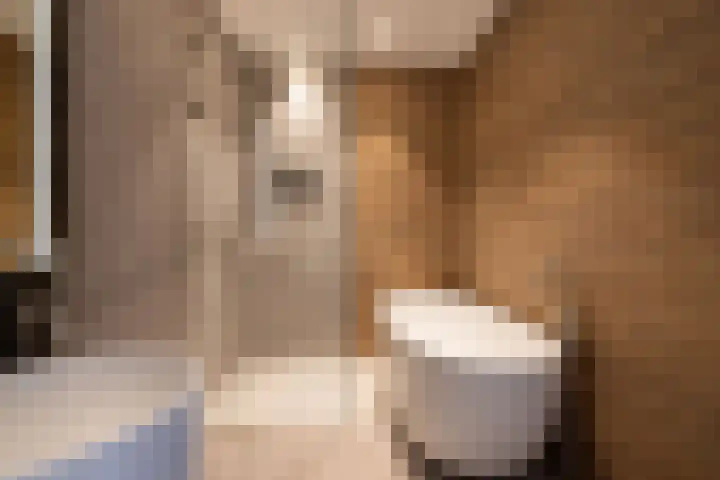 Heemraadssingel 237 C Rotterdam thumbnail 34