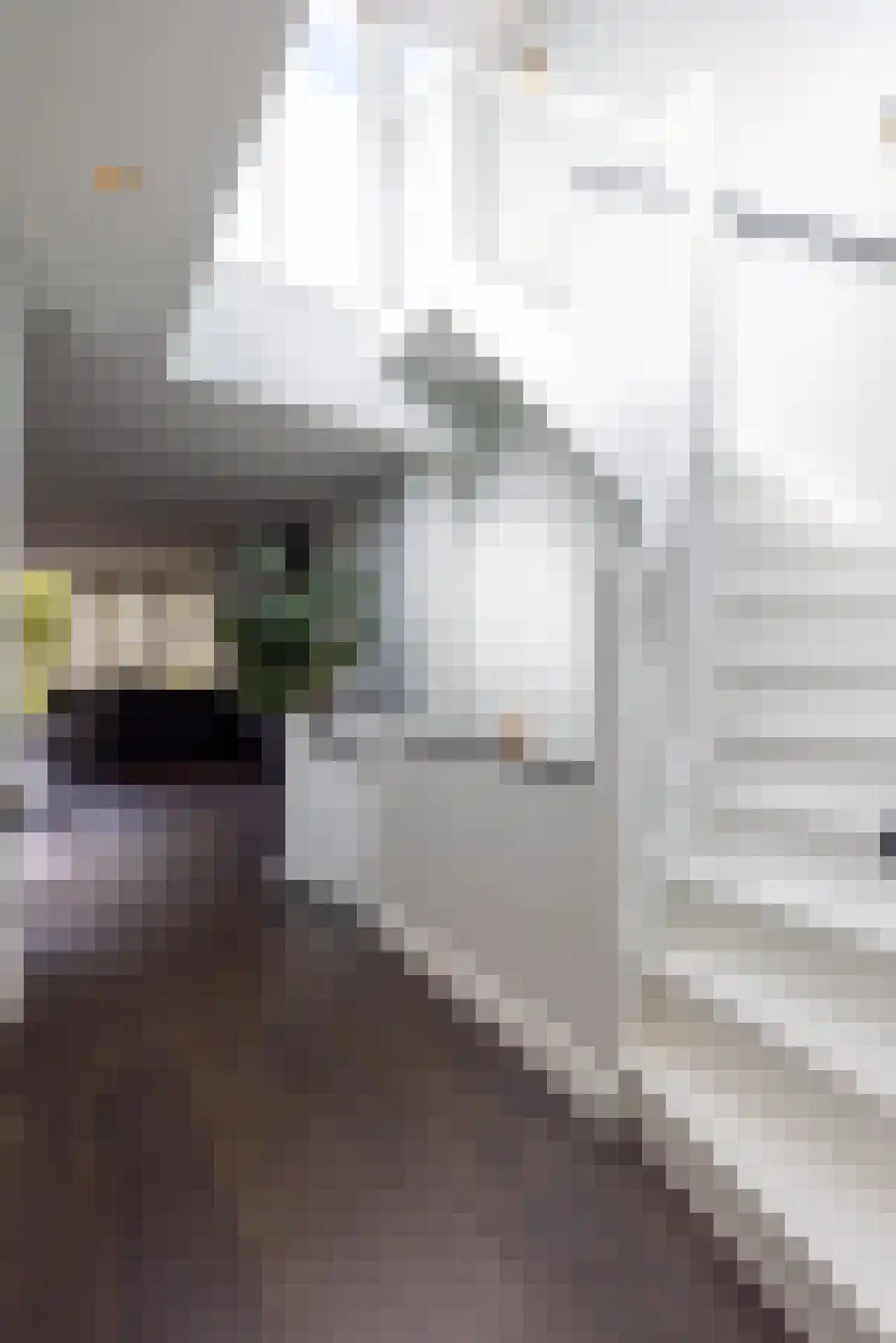 Heemraadssingel 237 C Rotterdam thumbnail 35