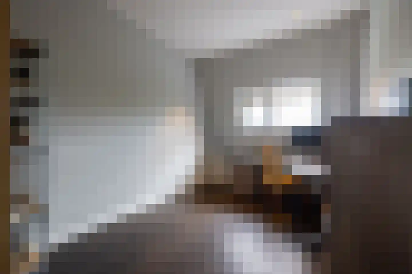 Heemraadssingel 237 D Rotterdam thumbnail 20