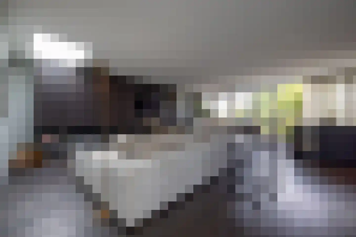 Heemraadssingel 237 D Rotterdam thumbnail 7