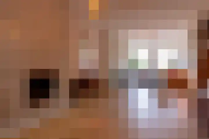 Heemraadssingel 239 A Rotterdam thumbnail 10