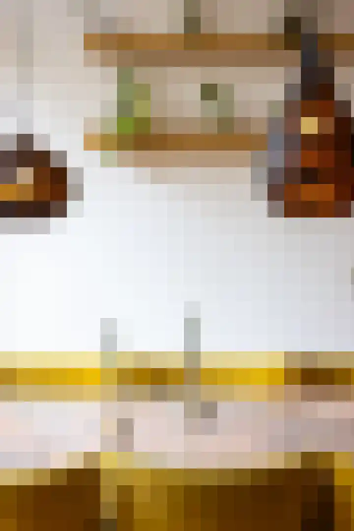 Heemraadssingel 239 A Rotterdam thumbnail 12