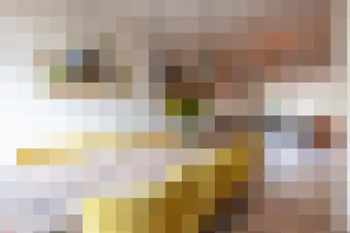 Heemraadssingel 239 A Rotterdam thumbnail 13