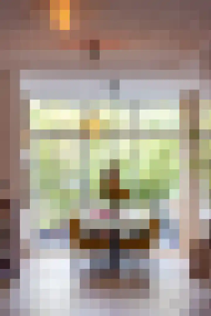Heemraadssingel 239 A Rotterdam thumbnail 17