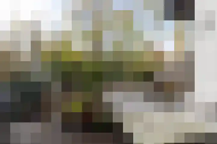 Heemraadssingel 239 A Rotterdam thumbnail 18