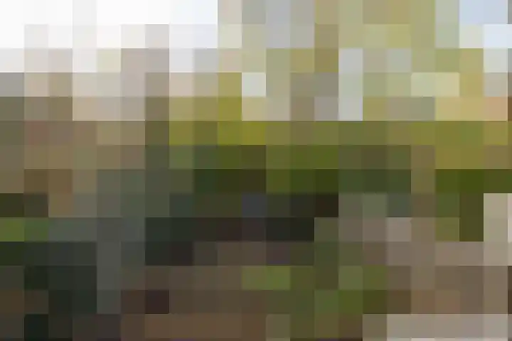 Heemraadssingel 239 A Rotterdam thumbnail 19