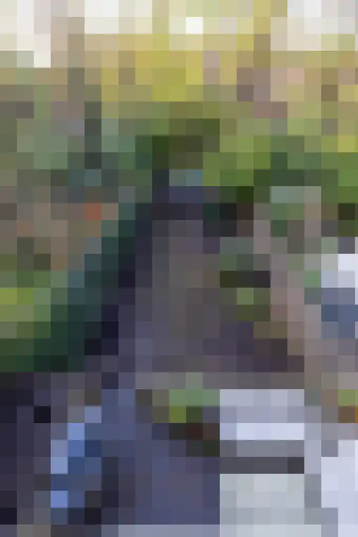 Heemraadssingel 239 A Rotterdam thumbnail 26