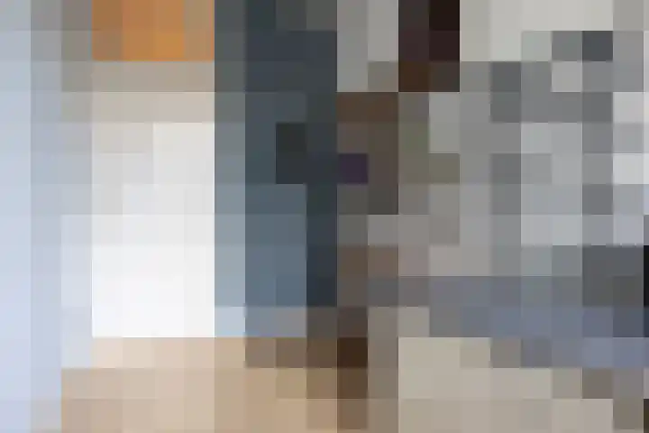 Heemraadssingel 239 A Rotterdam thumbnail 31