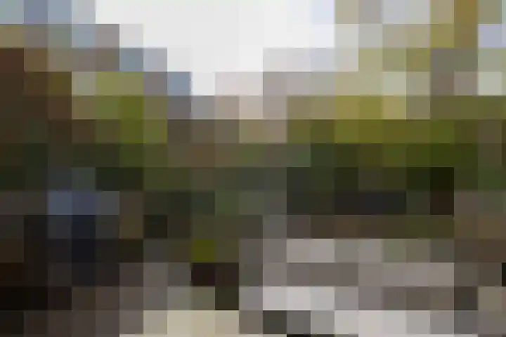 Heemraadssingel 239 A Rotterdam thumbnail 34