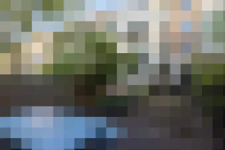 Heemraadssingel 239 A Rotterdam thumbnail 36