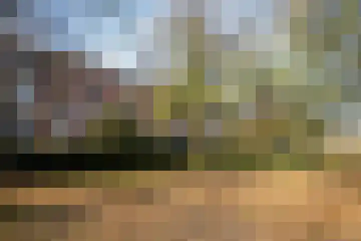 Heemraadssingel 239 A Rotterdam thumbnail 41