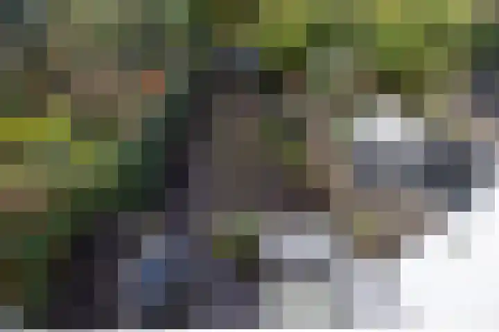 Heemraadssingel 239 A Rotterdam thumbnail 5
