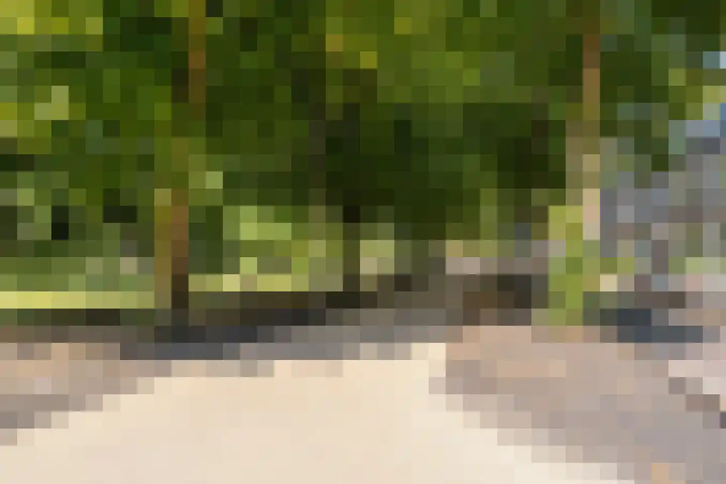 Heemraadssingel 258 E Rotterdam thumbnail 35