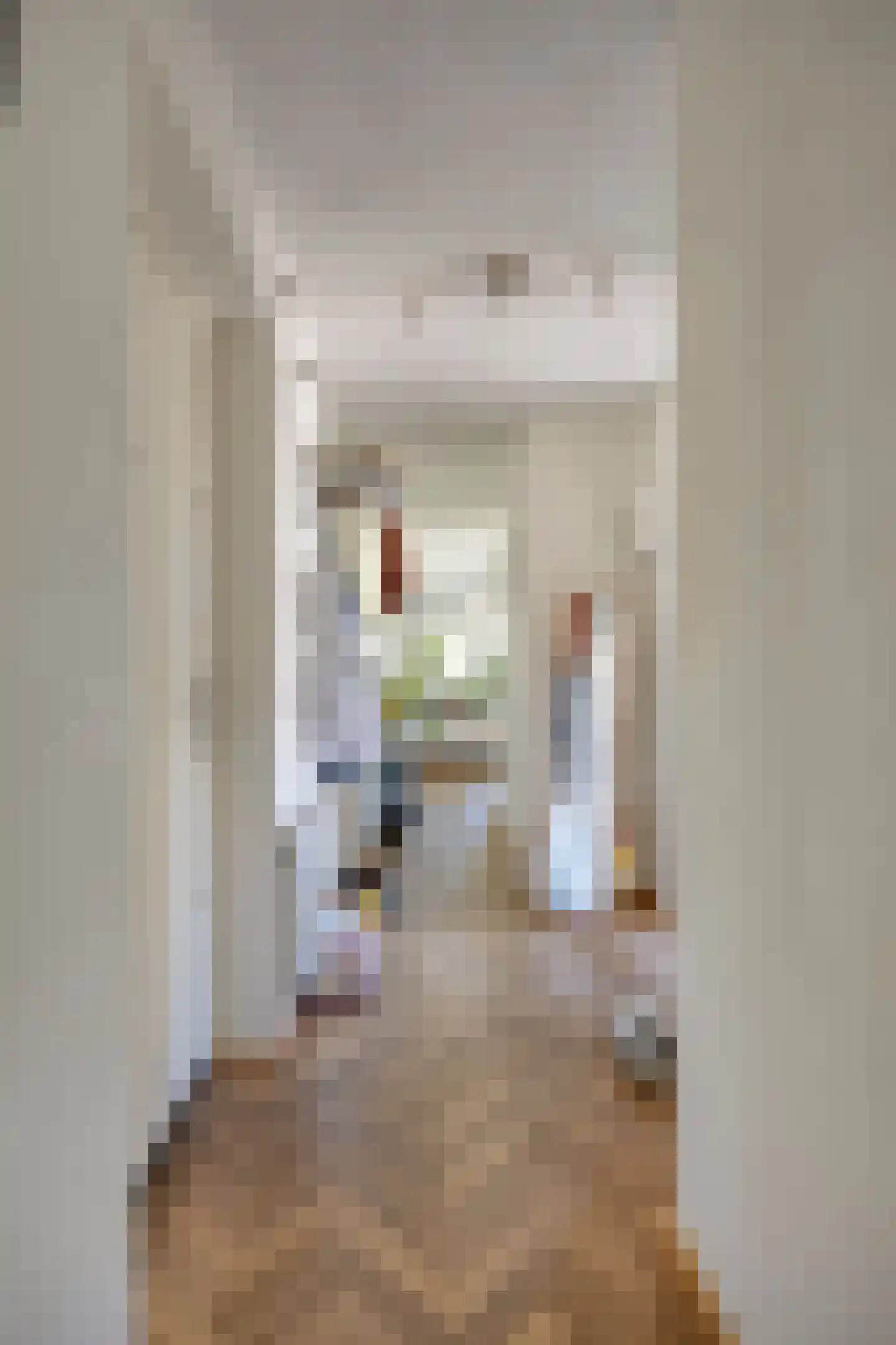 Heemraadssingel 258 F Rotterdam thumbnail 8