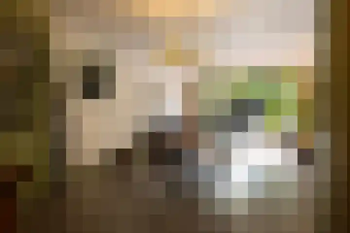 Heemraadssingel 259 Rotterdam thumbnail 13