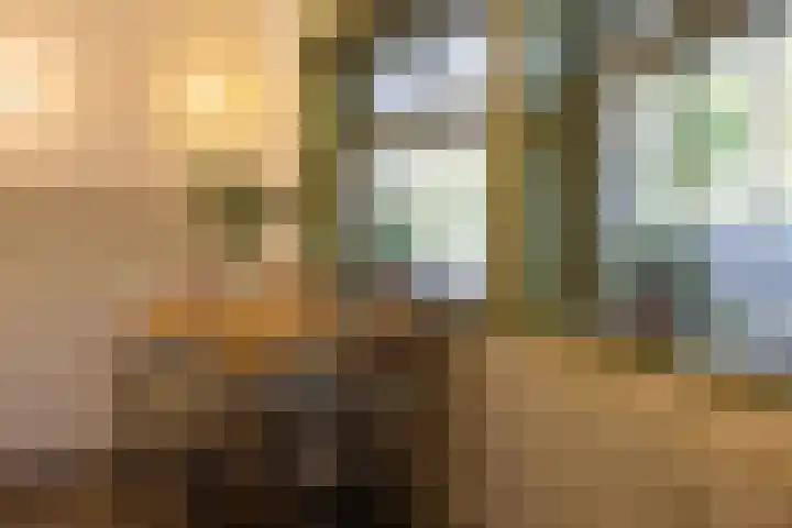 Heemraadssingel 259 Rotterdam thumbnail 18