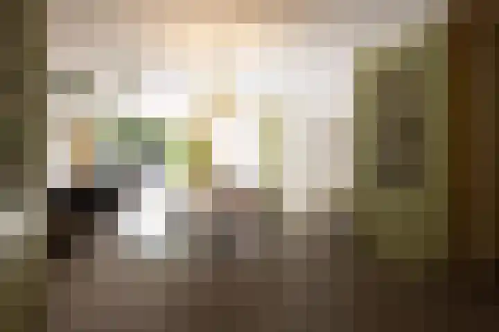 Heemraadssingel 259 Rotterdam thumbnail 19