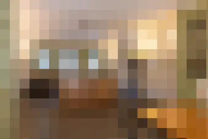 Heemraadssingel 259 Rotterdam thumbnail 20