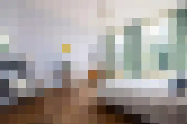 Heemraadssingel 259 Rotterdam thumbnail 25