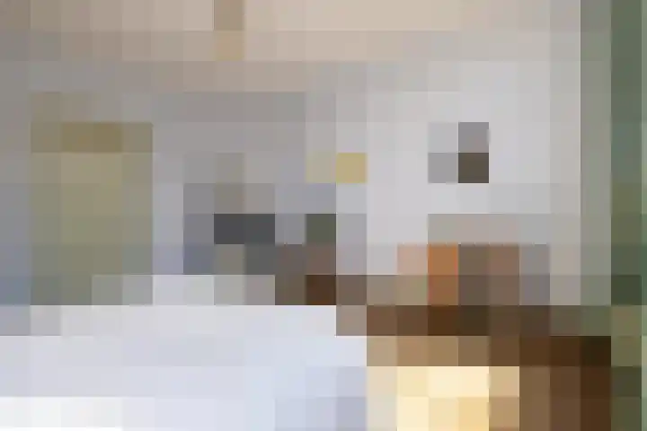 Heemraadssingel 259 Rotterdam thumbnail 26