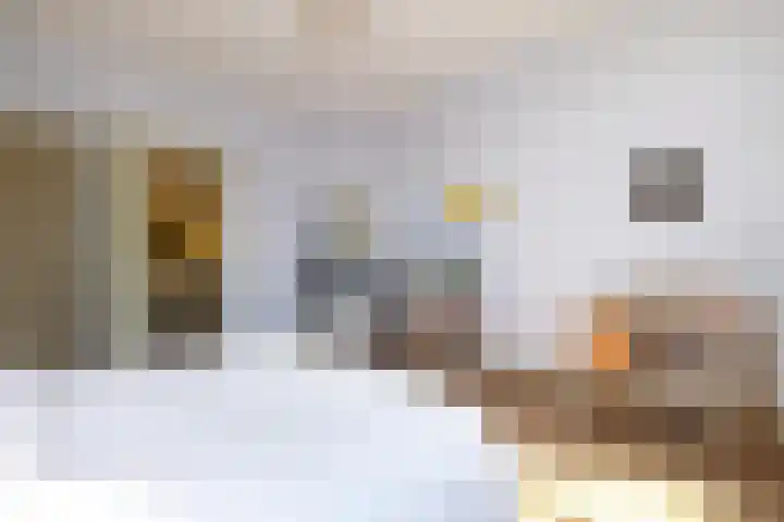Heemraadssingel 259 Rotterdam thumbnail 27