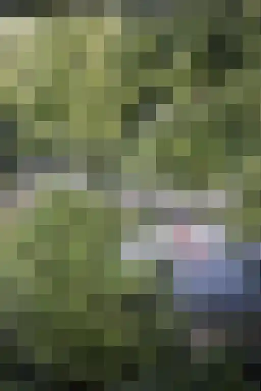 Heemraadssingel 259 Rotterdam thumbnail 33