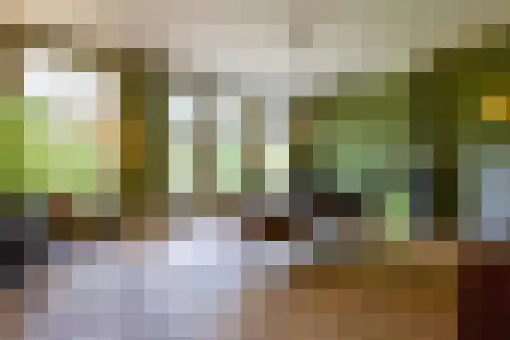 Heemraadssingel 259 Rotterdam thumbnail 35