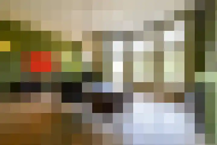 Heemraadssingel 259 Rotterdam thumbnail 37
