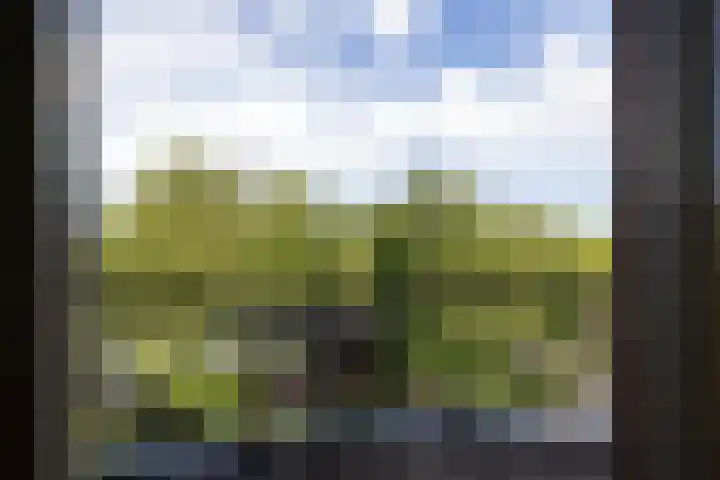 Heemraadssingel 259 Rotterdam thumbnail 41
