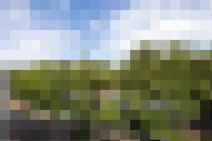 Heemraadssingel 259 Rotterdam thumbnail 42