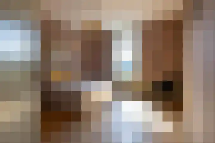 Heemraadssingel 259 Rotterdam thumbnail 47