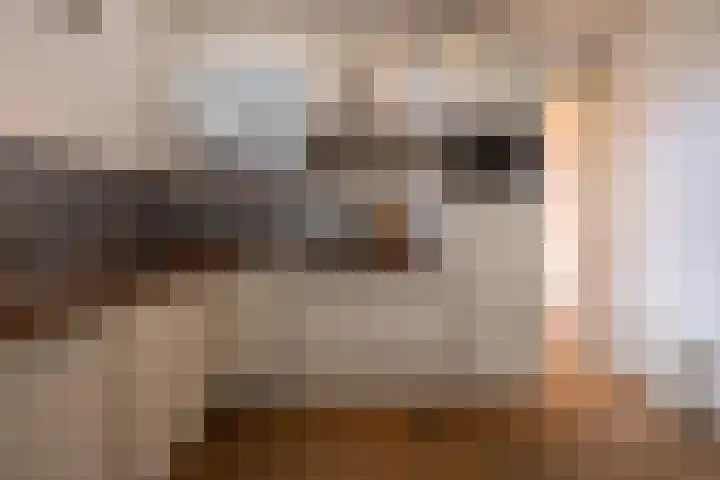 Heemraadssingel 259 Rotterdam thumbnail 50