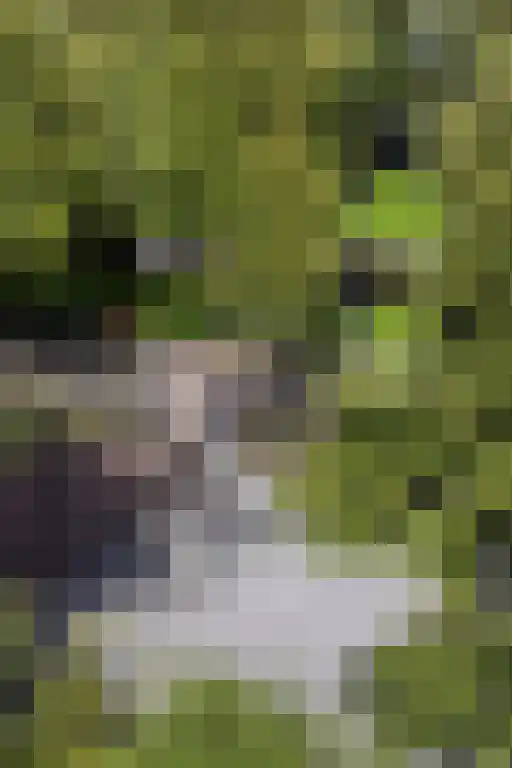 Heemraadssingel 259 Rotterdam thumbnail 57