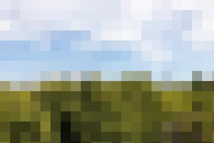 Heemraadssingel 259 Rotterdam thumbnail 58