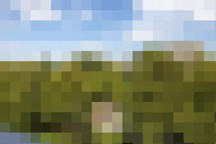 Heemraadssingel 259 Rotterdam thumbnail 59