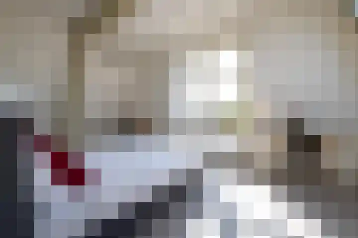 Heemraadssingel 259 Rotterdam thumbnail 62