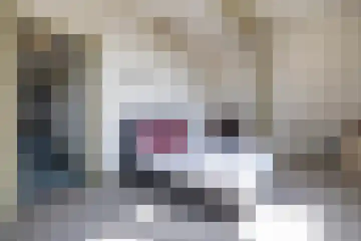Heemraadssingel 259 Rotterdam thumbnail 63