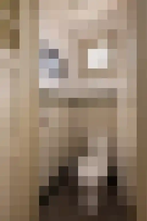 Heemraadssingel 259 Rotterdam thumbnail 67