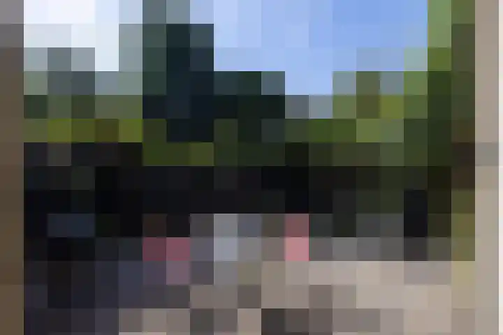 Heemraadssingel 259 Rotterdam thumbnail 69