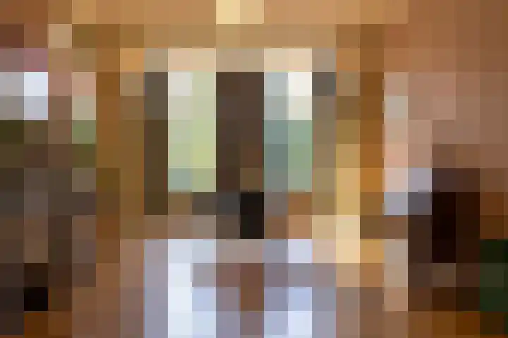 Heemraadssingel 259 Rotterdam thumbnail 8