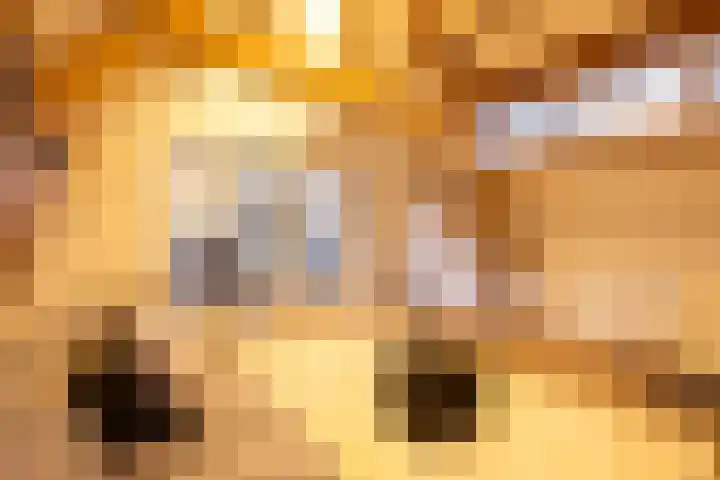 Heemraadssingel 261 C Rotterdam thumbnail 10