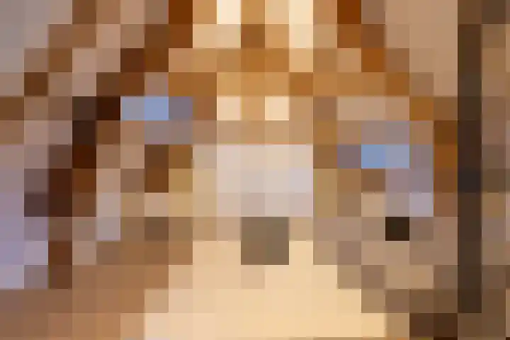 Heemraadssingel 261 C Rotterdam thumbnail 11
