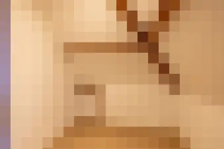 Heemraadssingel 261 C Rotterdam thumbnail 12