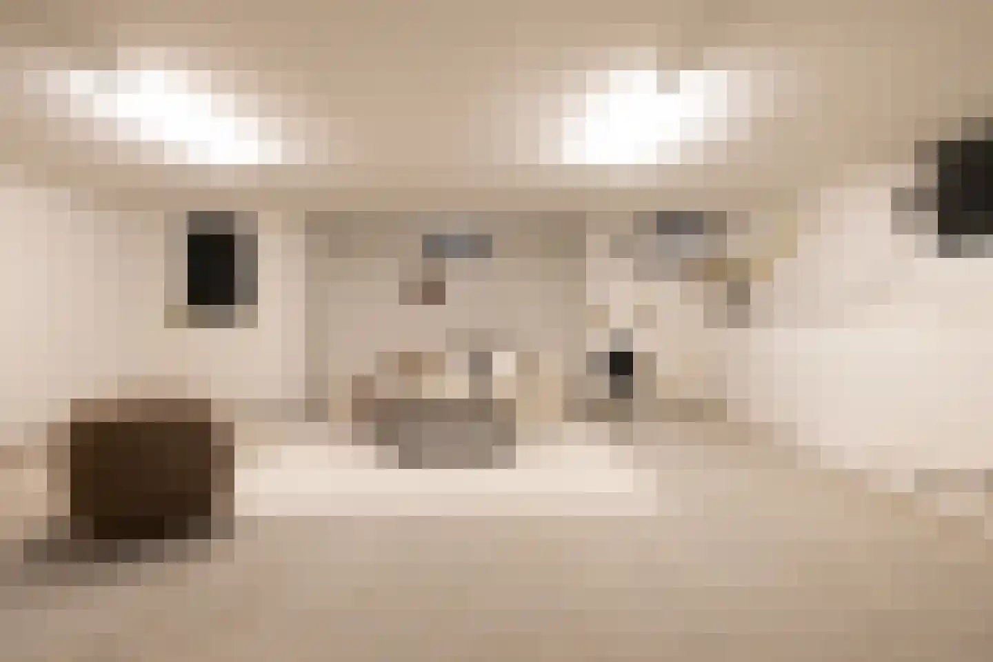 Heemraadssingel 261 C Rotterdam thumbnail 19
